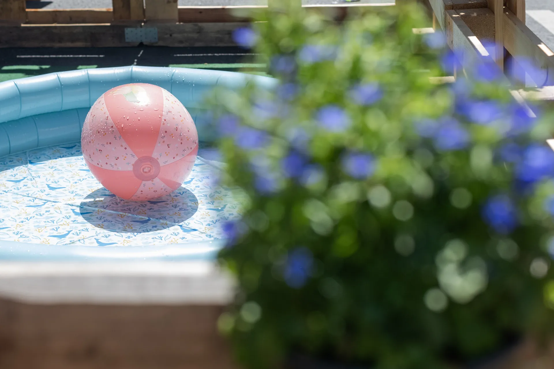 Rosa Wasserball in einem Planschbecken an einem sonnigen Tag auf dem Südstadtfest